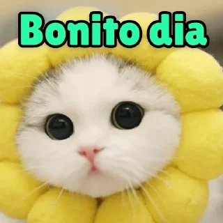 Sticker from Wenos dias