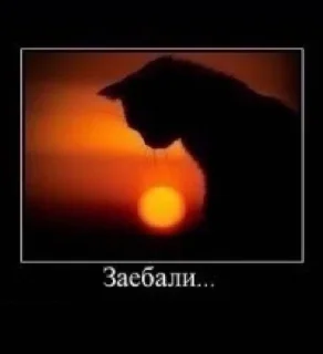 😞 emoji аче) Telegram sticker 10 of 11