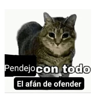 🐱 emoji Pendejadas de Sharky 5 Telegram sticker 18 of 110