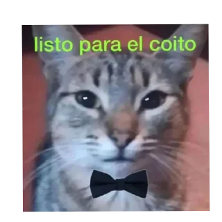 🐱 emoji Pendejadas de Sharky 5 Telegram sticker 16 of 110