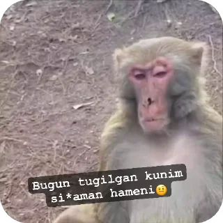 Sticker from @boboyev_diyor