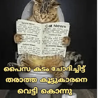 😂 emoji Cat Malayalam @sticker_pack_channel — @stckrRobot Telegram sticker 6 of 120