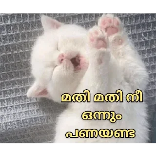 😂 emoji Cat Malayalam @sticker_pack_channel — @stckrRobot Telegram sticker 9 of 120