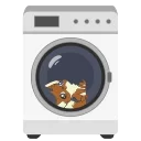 🌀 emoji Terminal Foxx Animated Telegram sticker 11 of 13