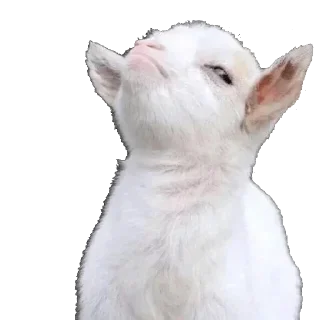 💥 emoji Jeyfri pack Telegram sticker 2 of 120