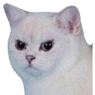 💥 emoji Jeyfri pack Telegram sticker 3 of 120