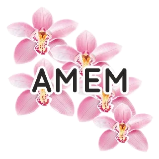 Sticker from 🌸