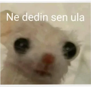 😝 emoji İsimsiz 2 (@emopix) Telegram sticker 13 of 30