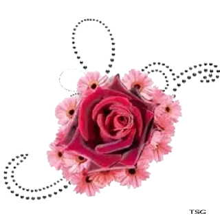 🌺 emoji ░⃝😍░꒰͢   ¸.☆* @kantinhodaka 💓kαղԵíղհօ ժα kҽ̂ղíα Telegram sticker 4 of 70