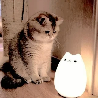 ▪️ emoji kucing | @STICKERFEH Telegram sticker 13 of 39