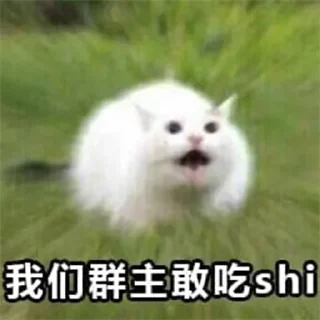 😳 emoji 同心福利TRX能量 @trxjiqirbot Telegram sticker 24 of 90