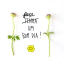 🌱 emoji Bom Dia Telegram sticker 17 of 50