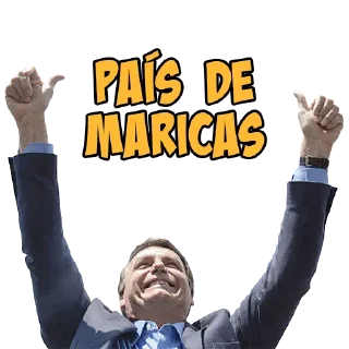Sticker from Bolsonaro-FDF