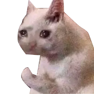🐱 emoji Figurinhas zap Telegram sticker 5 of 20