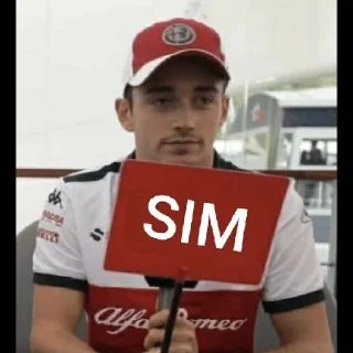 ✅ emoji Charly HumildeClerc Telegram sticker 6 of 30