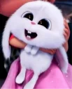 😍 emoji Snowball Telegram sticker 16 of 24