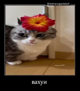 🌟 emoji Павел Кроликов 2.0 Telegram sticker 22 of 120