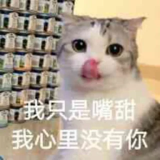 😋 emoji 喵咪咪 Telegram sticker 14 of 48