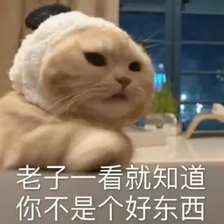 😠 emoji 喵咪咪 Telegram sticker 20 of 48