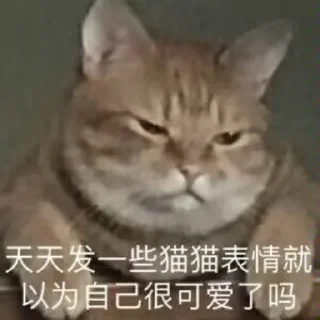 🙃 emoji 喵咪咪 Telegram sticker 5 of 48