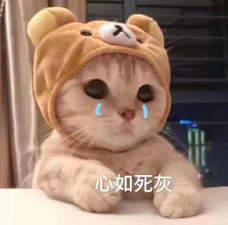 😥 emoji 喵咪咪 Telegram sticker 19 of 48