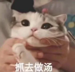 😉 emoji 喵咪咪 Telegram sticker 16 of 48