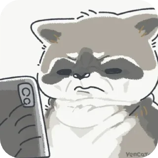 🤨 emoji Mapache 🦝❤️ Nael Telegram sticker 17 of 49