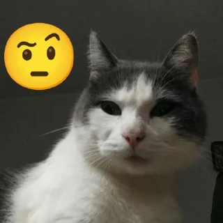 🤨 emoji Aleatório Telegram sticker 16 of 16