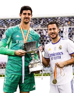🇧🇪 emoji Halad Madrid Telegram sticker 9 of 120