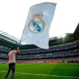 🚩 emoji Halad Madrid Telegram sticker 13 of 120