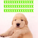 😂 emoji •❀кιвα∂ღѕ•❀ #2 @Hinata Telegram sticker 14 of 80