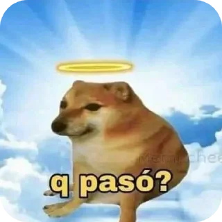 🐶 emoji Jo memes Telegram sticker 16 of 42