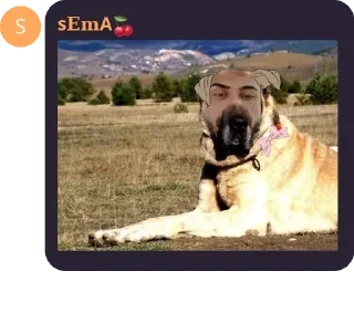 👩‍🦲 emoji 🫧⃝😈 MLA LOJİSTİK67🫧⃝😈 pack by @QuotLyBot Telegram sticker 20 of 120