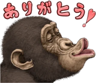 🐵 emoji chimp        by @raivozo Telegram sticker 7 of 87