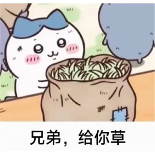 Sticker from Chiikawa 梗圖