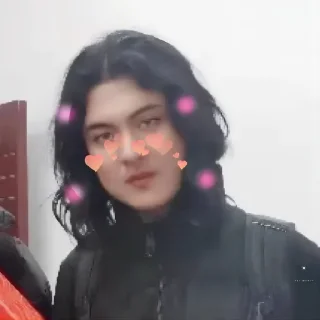 Sticker from 萝卜青菜