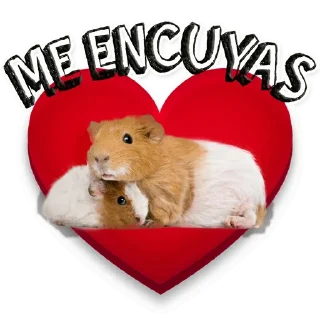 Sticker from cuy