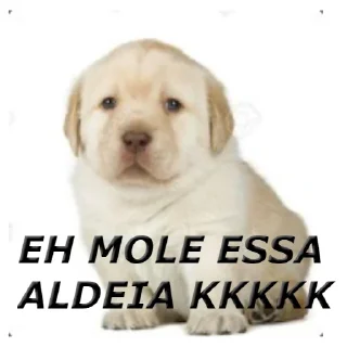 🐺 emoji eh mole lobo Telegram sticker 8 of 15