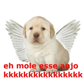 👼 emoji eh mole lobo Telegram sticker 12 of 15