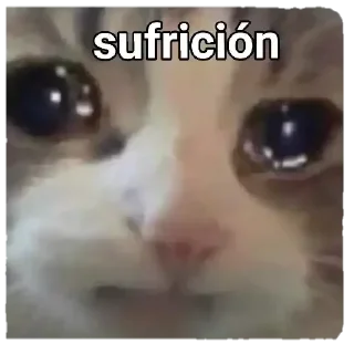 Sticker from gatitos
