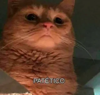 😀 emoji Pacote zueirinha Telegram sticker 23 of 47