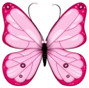 🐝 emoji Butterfly Telegram sticker 3 of 58