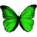 🐝 emoji Butterfly Telegram sticker 7 of 58