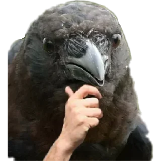 🤔 emoji 🤔 Telegram sticker 11 of 47