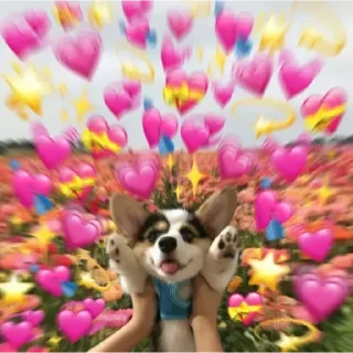 ❤️ emoji the best figurinhas Telegram sticker 7 of 60