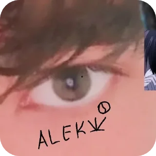 Sticker from Web Alek