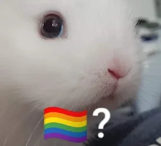 🏳️‍🌈 emoji Polygon 🏳‍🌈? Telegram sticker 11 of 45