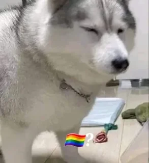 🏳️‍🌈 emoji Polygon 🏳‍🌈? Telegram sticker 3 of 45