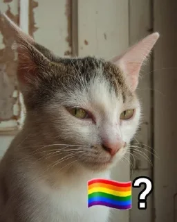 🏳️‍🌈 emoji Polygon 🏳‍🌈? Telegram sticker 24 of 45