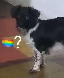🏳️‍🌈 emoji Polygon 🏳‍🌈? Telegram sticker 5 of 45